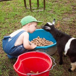 Meet your Posher, Carter